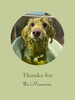 「Dog salon mofu mofu　余市町」