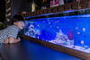 お子様にも人気のアクアリウム「生き物のプロ❗アクアデザインブルース/アクアリウム/メンテナンス/プロデュース/水槽レンタル」