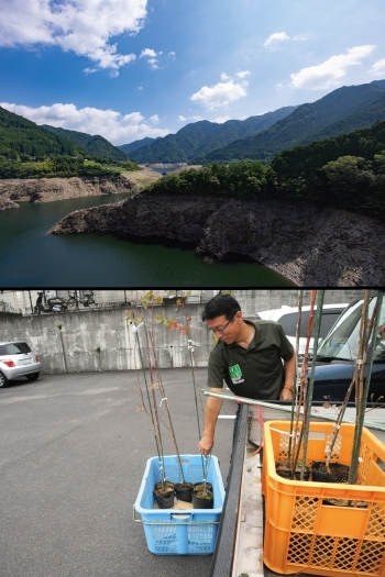 市民の水や緑を守っていく事も、私たちの大きな役割の一つです!「宇摩森林組合」