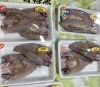 「魚魚市場鮮魚コーナーおすすめは「ヤイトガツオ」「お弁当」です」