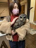 多くのお客様に可愛いがって頂きました　ありがとう！「みーたんがお迎えされました」