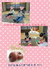 「☆2016年初教室☆～荻生の館で開催しました～」