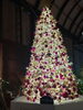 クリスマスわくわくしましょ🎄🎅「2023年最終月✨整えましょう👏✨」