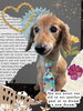 「Dog salon mofu mofu　余市町」