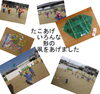「明日はさくらんぼ「お話会」ですよ！　１１時から正午まで。　　いきいき親子体操は１月１９日（火）です。詳しくは本文にて。」