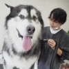brother dogs -one life partner- 1st base - 加古川市加古川町