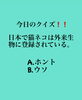 「2月27日土曜日今日のクイズ!!『日本で猫は外来生物に登録されている。 A.ホント B.ウソ』本日のおすすめmenu✨鉄火丼……1,100円です。漁協の食堂で鮪ランチはいかがでしょうか？OPEN  AM.11:00~」