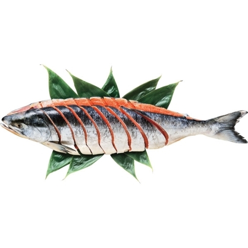 日高太平洋沖産　銀毛色新巻鮭切身Ｌ　早期割引♪「♪ご自宅で冬のおいしいを満喫しませんか♪」
