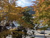 「【信州　戸倉上山田温泉】有田屋旅館の周りも紅葉して来ました🍁」