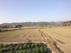 「福岡県八女市黒木町田代(^○^)‼️。」