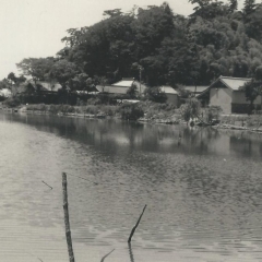 昭和42年の箱樋池（城下川）