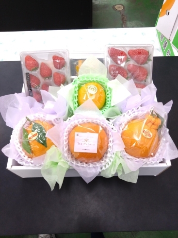 「【大切な方への贈り物果物】静岡クラウンメロン やおもり果実専門店！！」