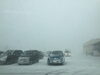 「雪・雪・雪〜〜！(o^^o)」