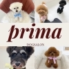 「dogsalon_prima（ドッグサロンプリマ）」ワンちゃんがリラックスして通えるプライベートサロン♪