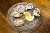 気軽に楽しめる3種食べ比べも　味の濃さなどもご相談いただけます「the fresca oysterbar & kitchen」