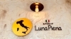 「Luna Piena（ルナ・ピエーナ）」西鉄天神大牟田線白木原駅東口徒歩3分。素材に拘ったイタリアン