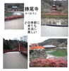「西国三十三所巡りを再び始める（４）勝尾寺」