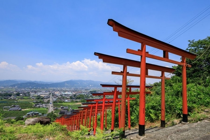 石段に立つたくさんの朱色の鳥居で神聖な気持ちに 浮羽稲荷神社 朝倉市周辺の除夜の鐘 初詣特集 年 まいぷれ 朝倉 うきは 筑前 東峰