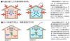 暑さ対策:冷房効果を高めて体感温度を下げる「夏も冬もガイナ塗装」