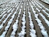 「新年２日目ですが、大分の宇佐市では早くも今年初雪です！【集団指導・個別指導】【王子・南大分・城南・上野ヶ丘・大分西・大道・西の台・荏隈・金池・豊府・春日町】」