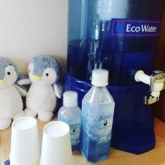 【腸活】ミネラルを摂取しましょう！eco water