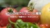 「あぐりん」気軽＆手軽に安心して野菜栽培が楽しめる貸農園・体験農園