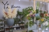 Y’s flowers