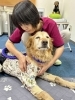 愛犬へのマッサージ方法をレクチャー中の様子。「整体サロン アクア」