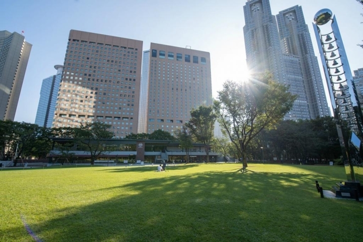 「新宿中央公園」複数のだれでもトイレあり、ちびっこ広場に遊具のある公園です