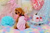 見返り美人　(〃艸〃)ﾑﾌｯ「birthdayphoto　(*´ω｀*)」