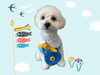 「Dog salon mofu mofu 余市町」