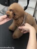 「秋のオプションキャンペーン　^o^」