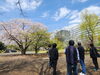 「お花見に行きました【千葉市　ゲーム　就労継続支援B型】」