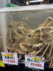 「12月24日からの松葉蟹🦀ラインナップなど、年末に向けてのお知らせ」