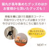 「まだまだ増えそう？猫丸の猫グッズたち（=^ェ^=) 整体・オイル・リーディング・占い・顔そり・氣功」