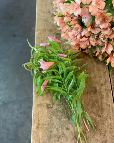 静岡市花屋 花仕事ヴェルデ お気に入り旬の花入荷情報 花仕事 ヴェルデのニュース まいぷれ 静岡市 静岡市花屋 花仕事ヴェルデ お気に入り旬の花入荷情報 花仕事 ヴェルデのニュース まいぷれ 静岡市