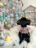 モコちゃん「MerryXmas🎄」