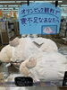 快眠グッズ🐏🌙💤 | KIDSwith岩出店のニュース | まいぷれ[和歌山市]