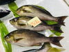 「魚魚市場鮮魚コーナーおすすめは「ノドグロ・本ガツオ」です♪」