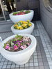 季節の花々がお出迎えの長野駅「「朝からだるい…」が続くとき、それは体質だけのせい？」