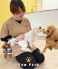 「PawPark 犬のためのようちえん 徳島万代店」