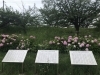 寝屋川市 四季折々に美しい打上川治水緑地公園の紫陽花やバラが綺麗に咲いています 本氣メディア株式会社 マジメディア のニュース まいぷれ 寝屋川市