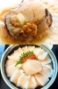 さるふつまるごと館>