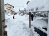 朝から家族で雪かき、夜も雪かき。明日は出れるかな？「自分に嘘をつかない[米子占い]」