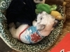 昭和スタイルの看板犬「昭和」