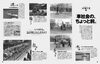 <span class='mincho'><a href='/contents/html/miyazaki/latham/dankaishukei/08.html' target='_blank'>→内容を見る</a></span>