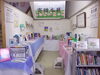 「寄贈本展　開催中」