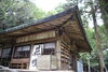 「諭鶴羽神社に旅する蝶アサギマダラが飛来✨ 諭鶴羽神社入って左側に フジバカマをいっぱい 植えているスペースがあります✨羽生結弦選手が参拝したと有名な神社✨」