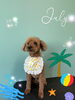 「お友達♡ Dog salon mofu mofu 余市町」