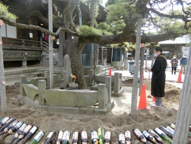 「2月25日（木）帝釈天にて瑞龍の松の寒肥が行われた《柴又亀家おかみの独り言》【柴又名物草だんごが人気☆柴又帝釈天から一番近いお団子屋】」